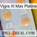 Vigra Xl Max Platinum 24